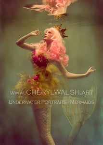 8x10 Fine Art Print Rosewater Mer 03