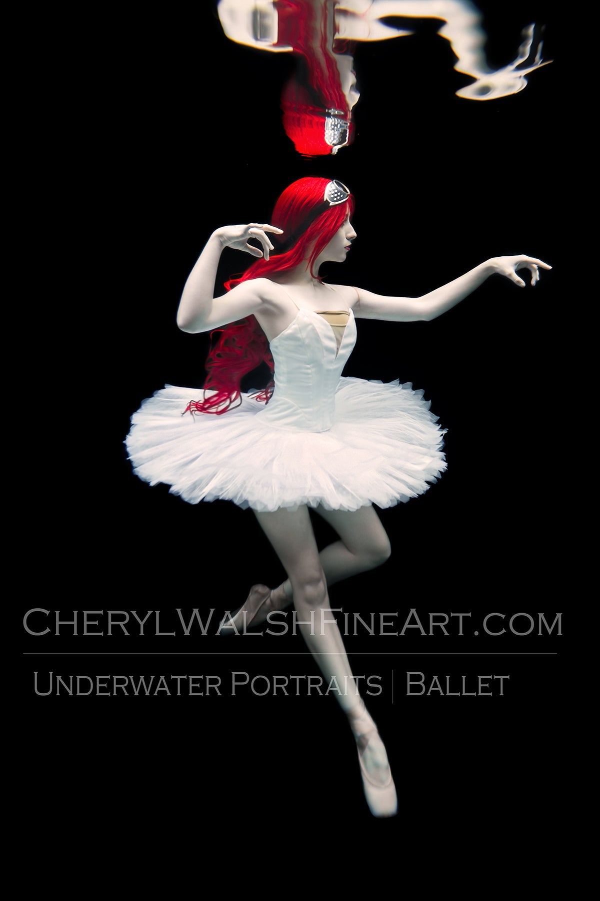 5x7 Fine Art Print The Red Swan