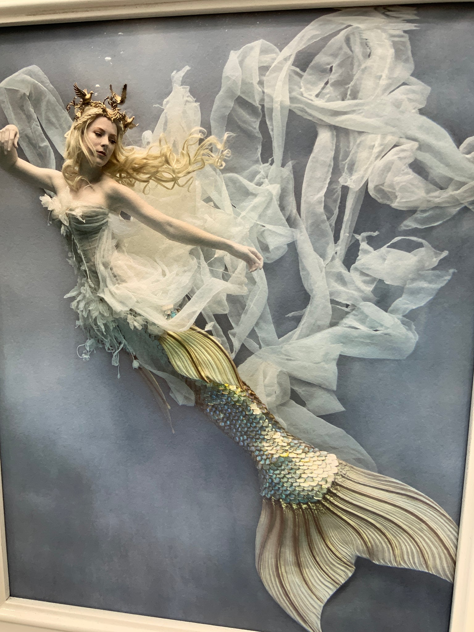 8x10 Print Lily Mermaid